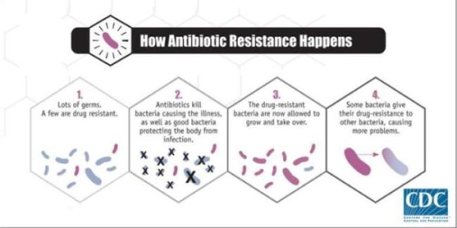 Antibiotic Resistance