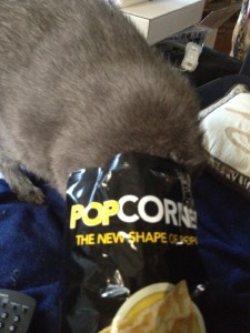 Who doesn't love popcorn?
