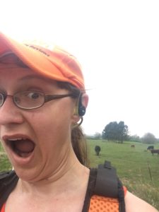"Seriously, I just got lapped by a cow!"