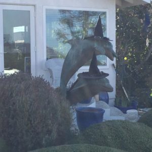 Neighborhood dolphins, decked out for Halloween!