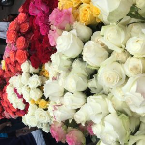 White rose with colorful roses in back