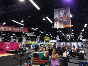 A tiny section of the Expo