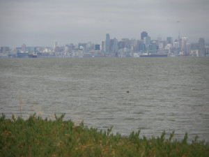View of the city (and Karl The Fog) from the Bay Trail, Bay Farm Island, Alameda