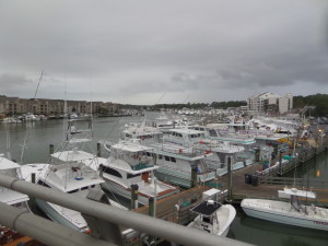 A view of the marina, on the way to the finish line!